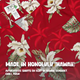 Hibiscus Rood